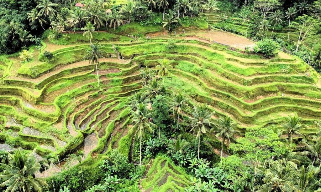 Bali, Indonesia – international destination to visit from India in October and November